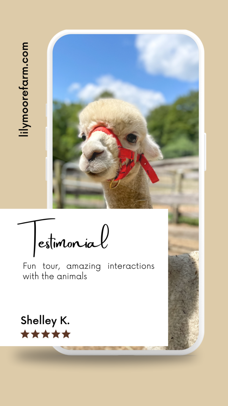 5 star review of our farm