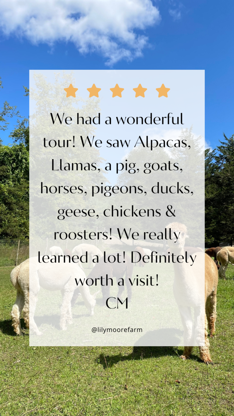 A 5 star review from Google