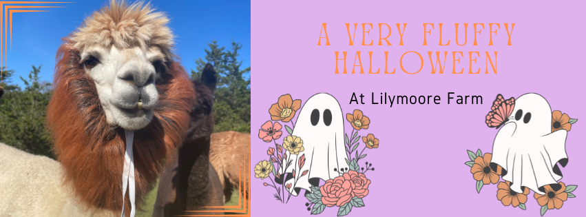 A Very Fluffy Halloween at Lilymoore Farm