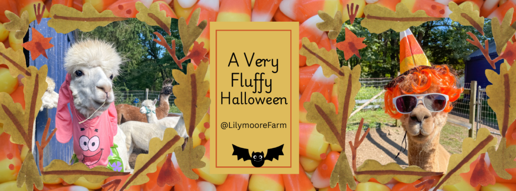 A Very Fluffy Halloween 2025