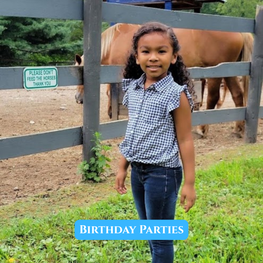 Birthday parties at Lilymoore Farm